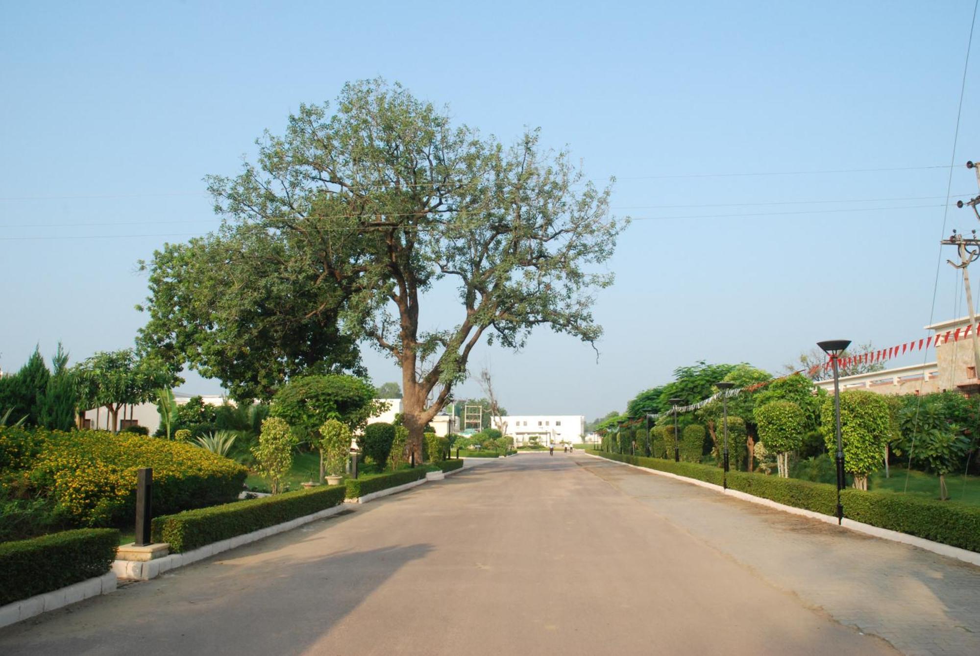 The Lalit Temple View Hotel Khadzsuráhó Kültér fotó